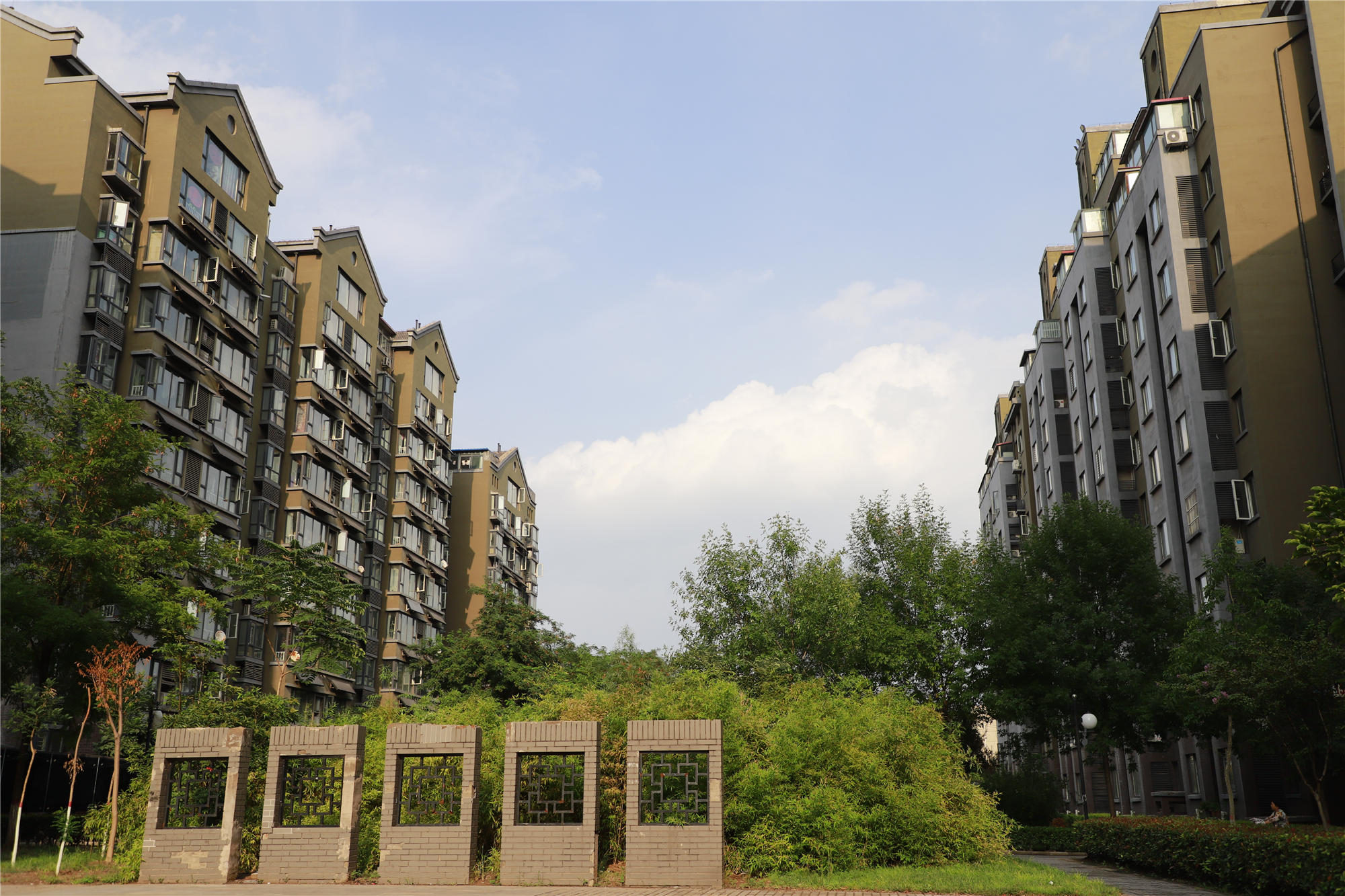 绿树林枫